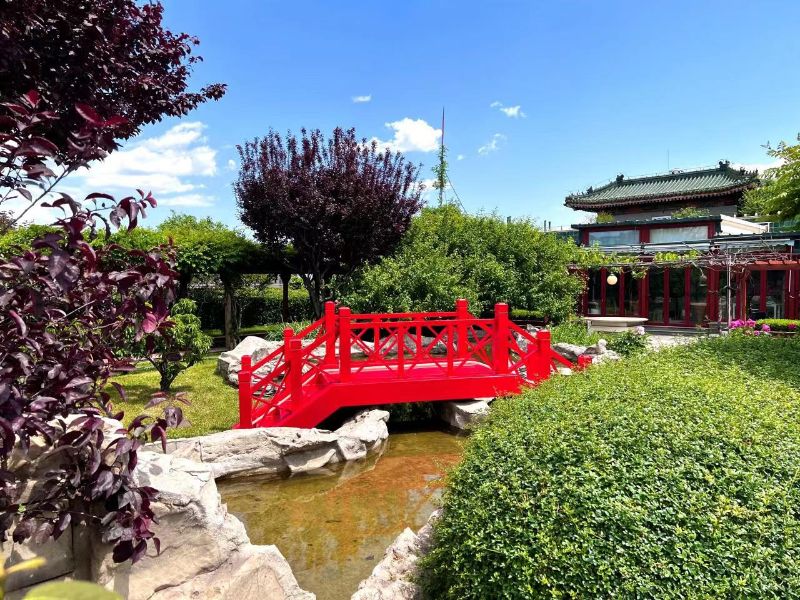 bf64561bda7c3c5e74f2d242479abae9